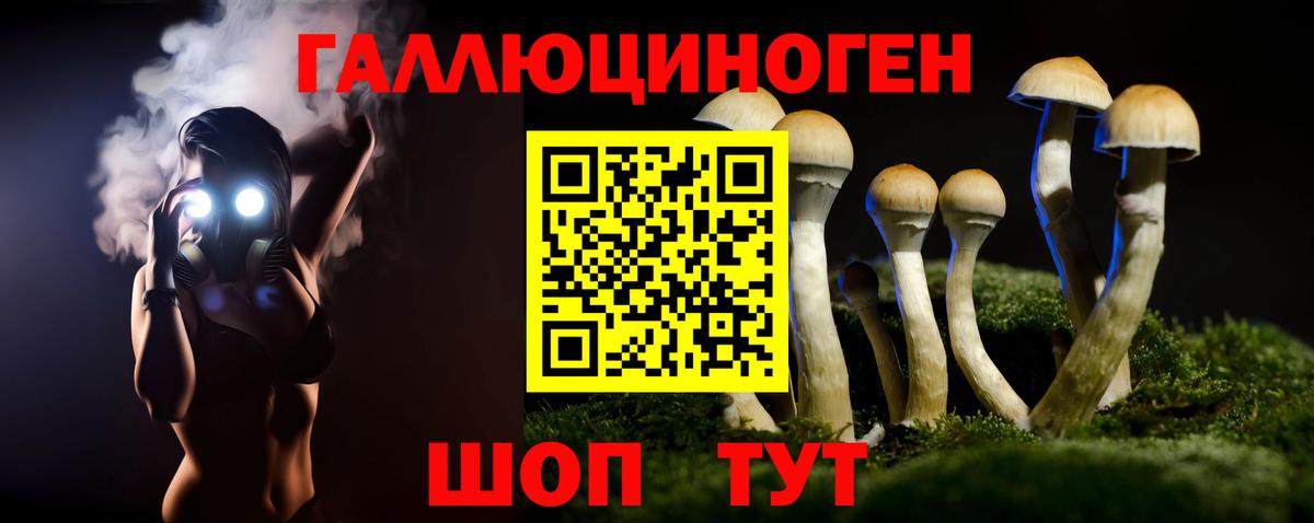Тихвин  Галлюциногенные грибы мицелий  Вход с VPN  Галлюциногенные грибы Psilocybe 